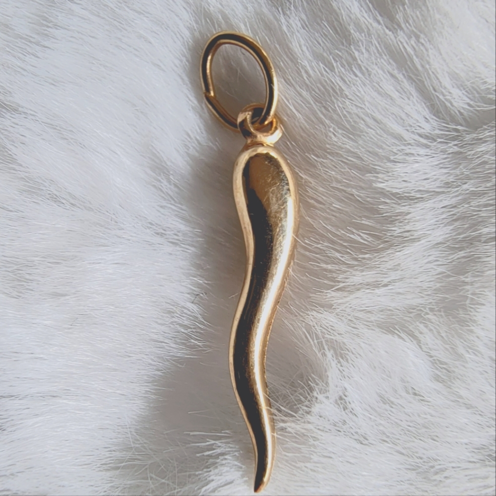 Italian Horn Pendant 14k Gold